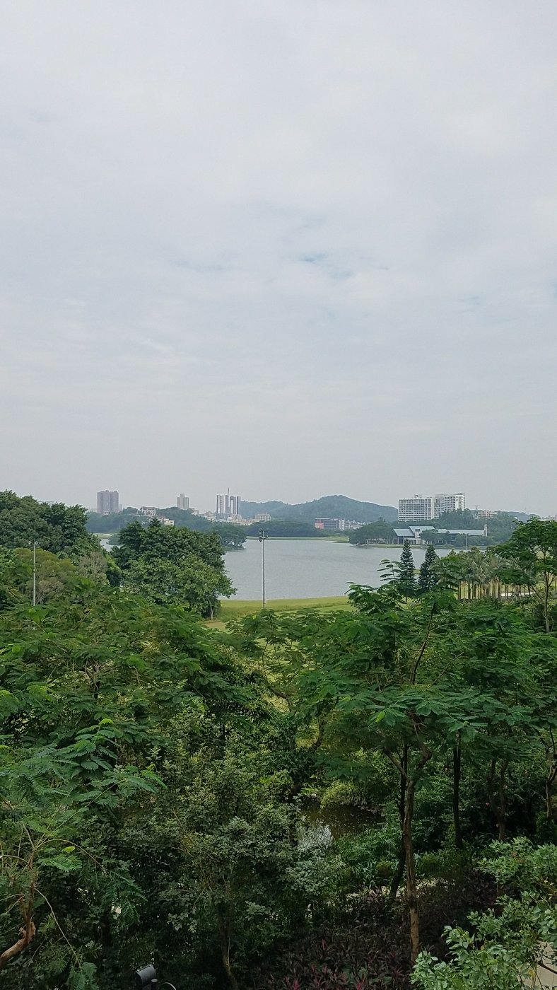 隐秀山居酒店●荣粤酒家(宝荷路店)