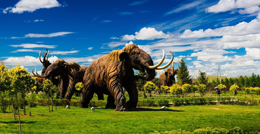 呼伦贝尔草原深度游 原始森林 中俄边境 与小动物亲密接触6日游,马