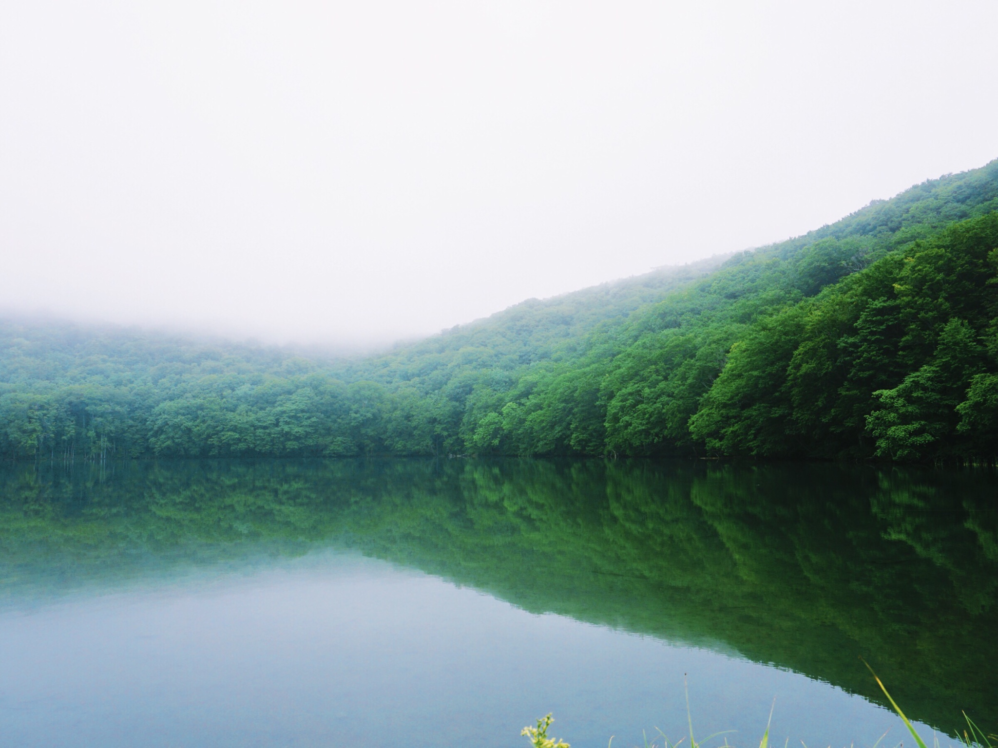 北海道自助遊攻略