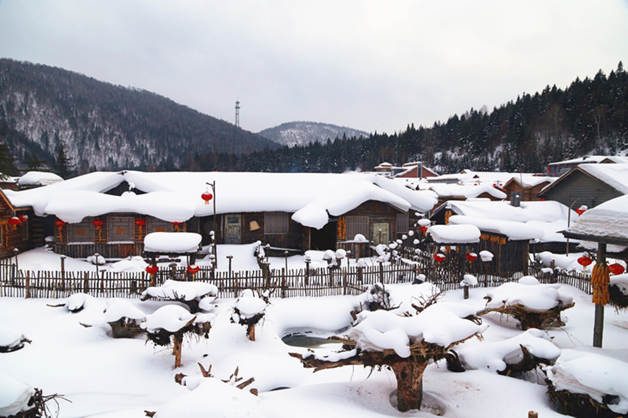 雪鄉自助遊攻略