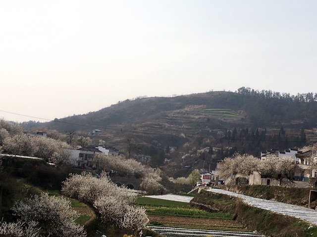 十堰美食-清凉寺