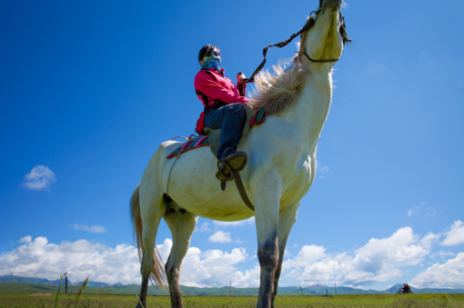 重在体验和感受)在桑科草原上,我们让一位藏族小伙,教大家骑马,草原上