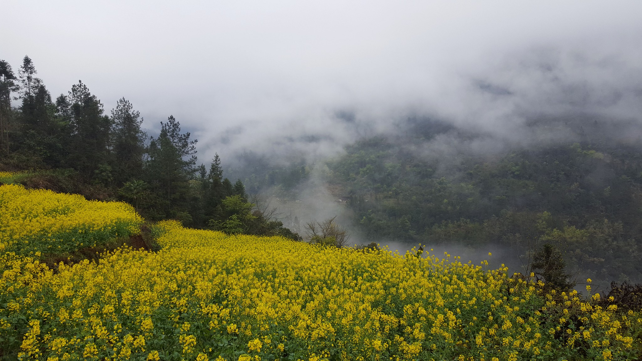 清明七日游-屏山峡谷
