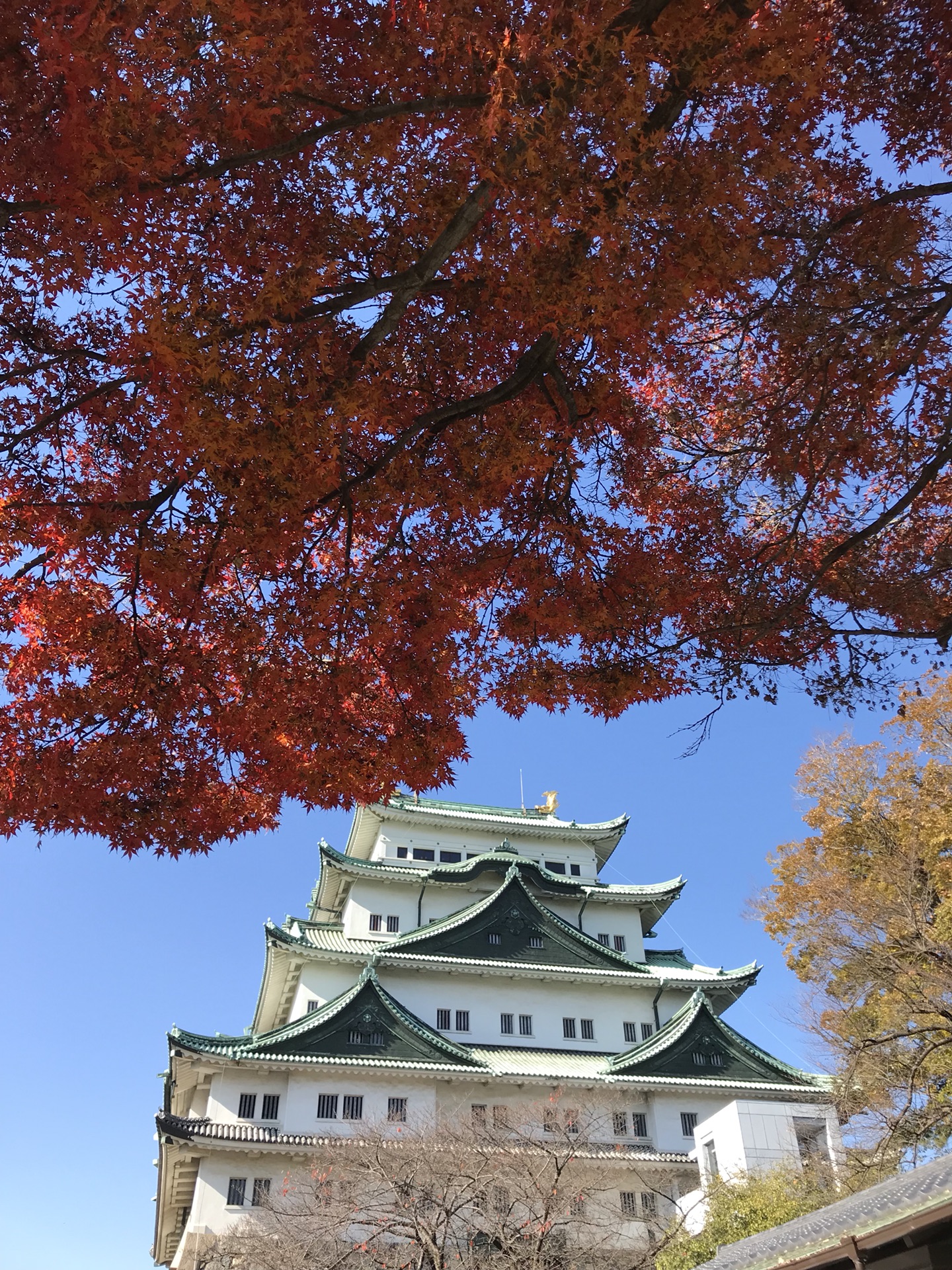 名古屋自助遊攻略