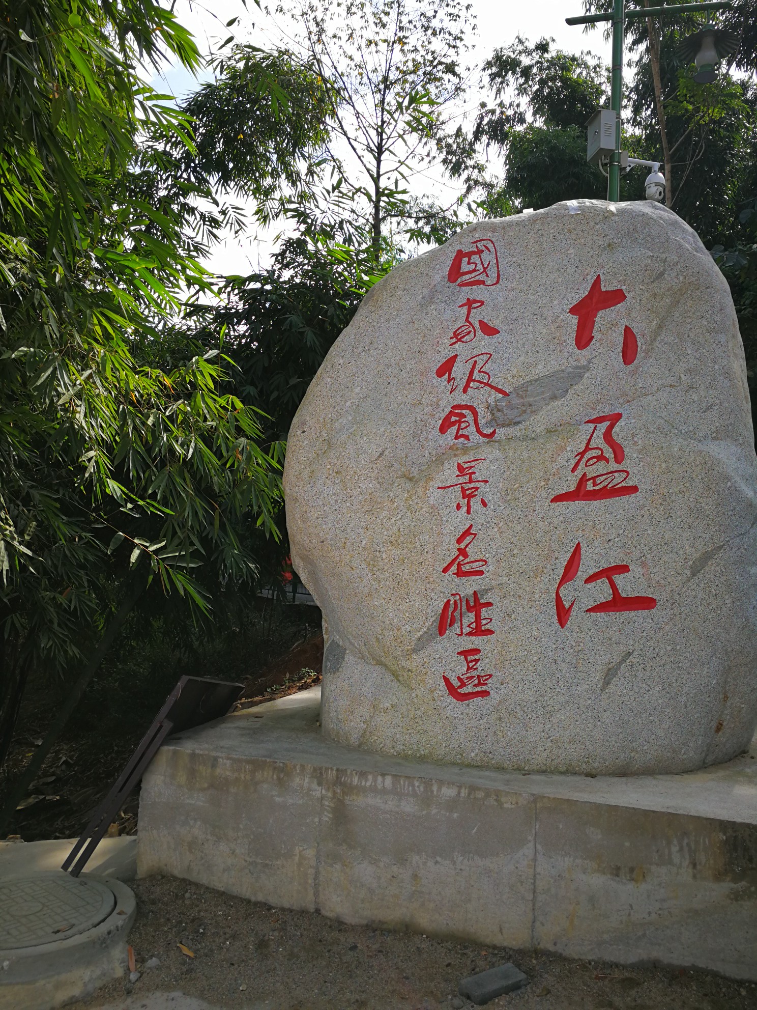 纵然一夜风吹去，只在芦花浅水边，大盈江芦苇荡游