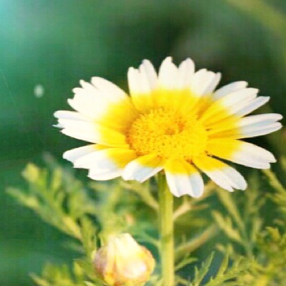 【扬州图片】安之若素