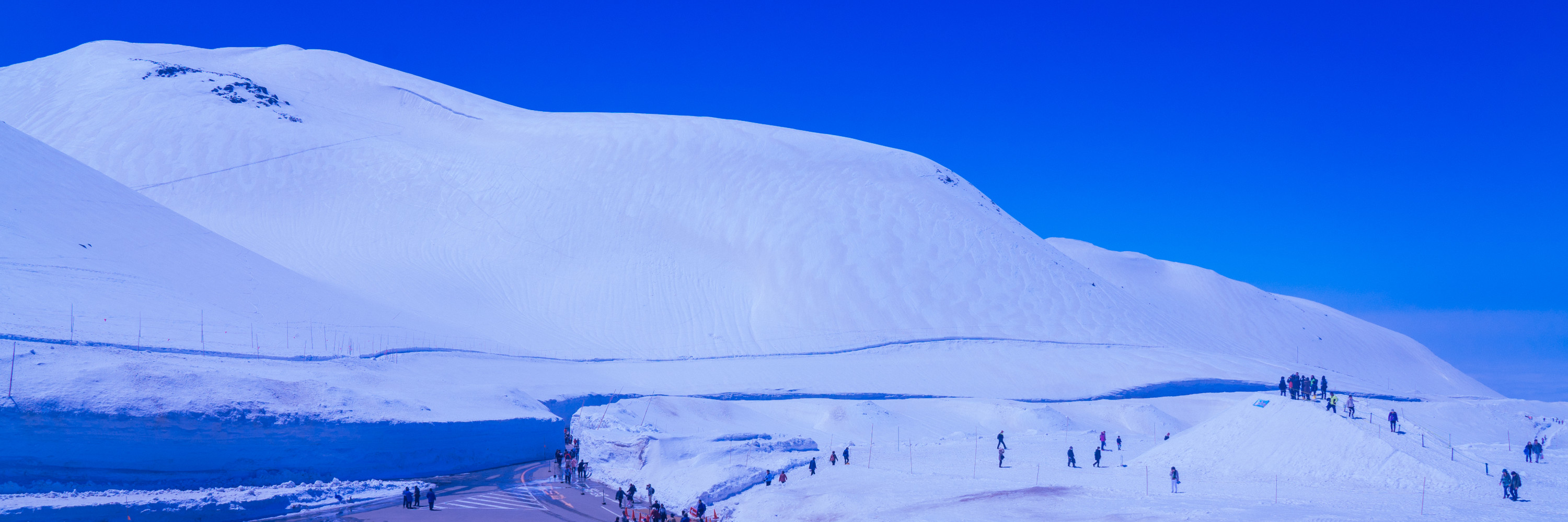 赏花玩雪暴走升龙道 东京 立山黑部 松本 高山 犬山 名古屋 旅游攻略 马蜂窝