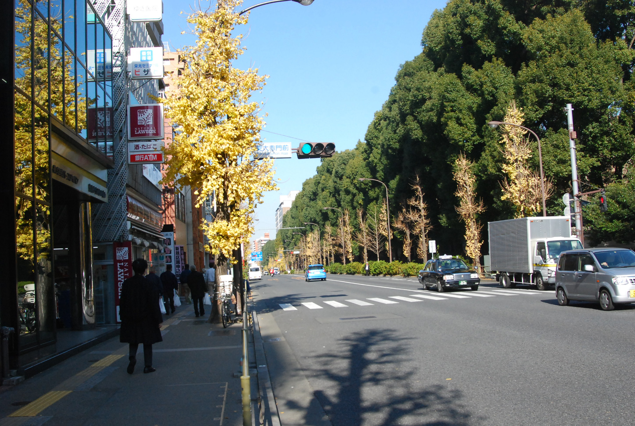 東京自助遊攻略