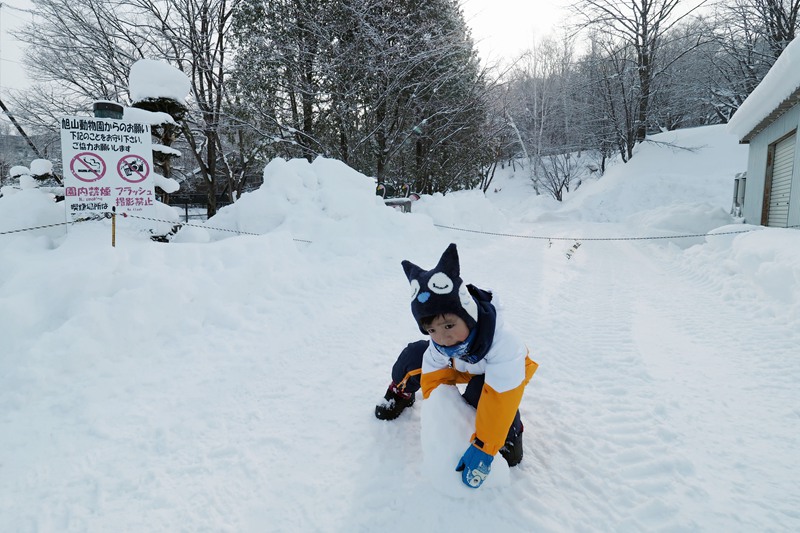 北海道自助遊攻略