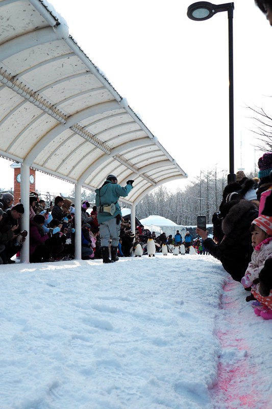 北海道自助遊攻略