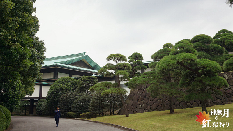 北海道自助遊攻略