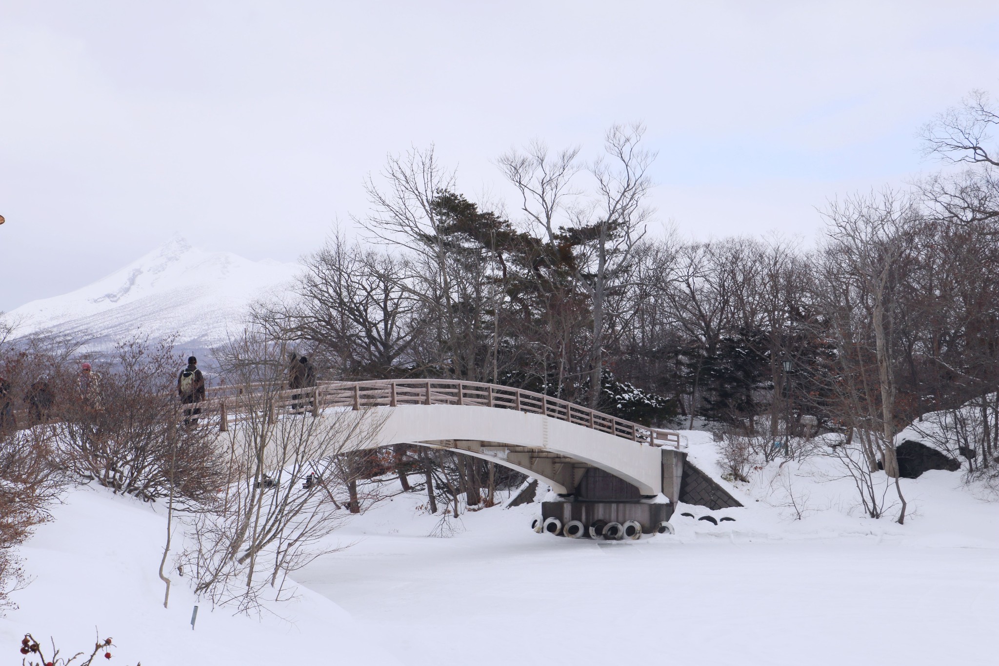 北海道自助遊攻略