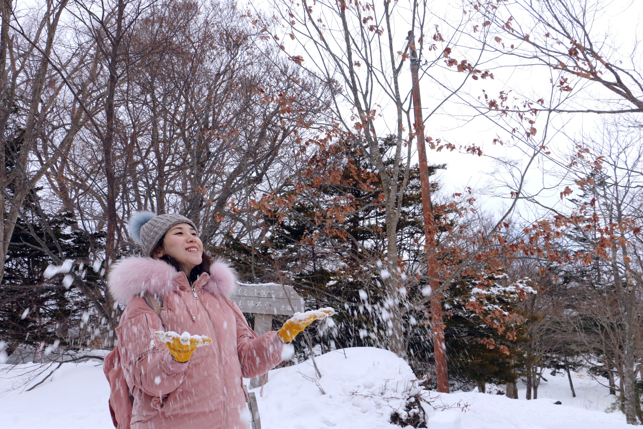 北海道自助遊攻略