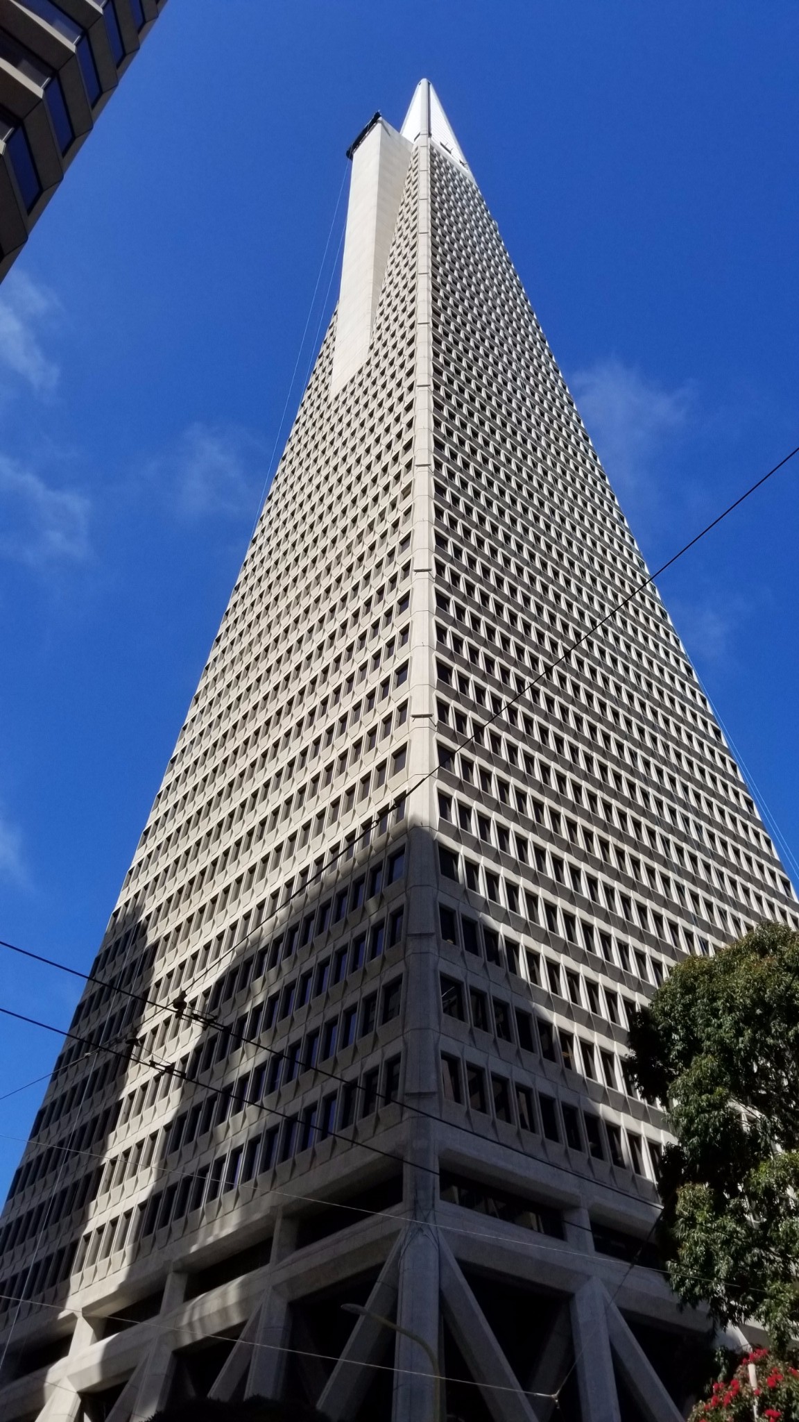 旧金山市政厅双子峰双子峰卡斯楚区卡斯楚区卡斯楚区卡斯楚区卡斯楚区