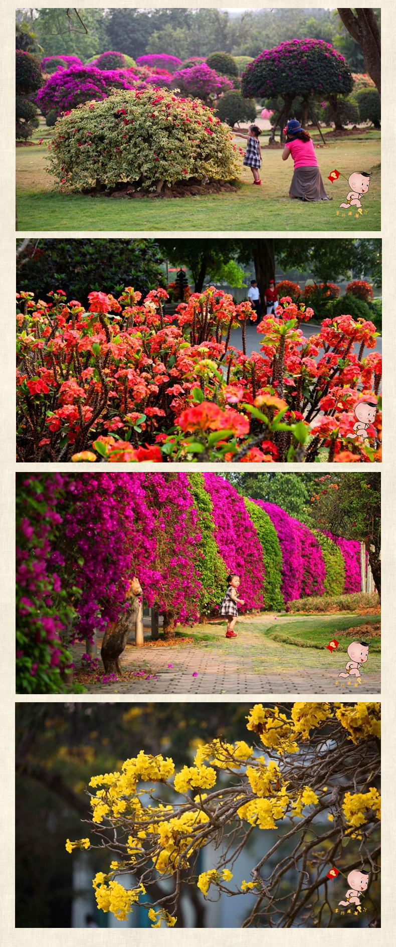 西雙版納花卉園套票