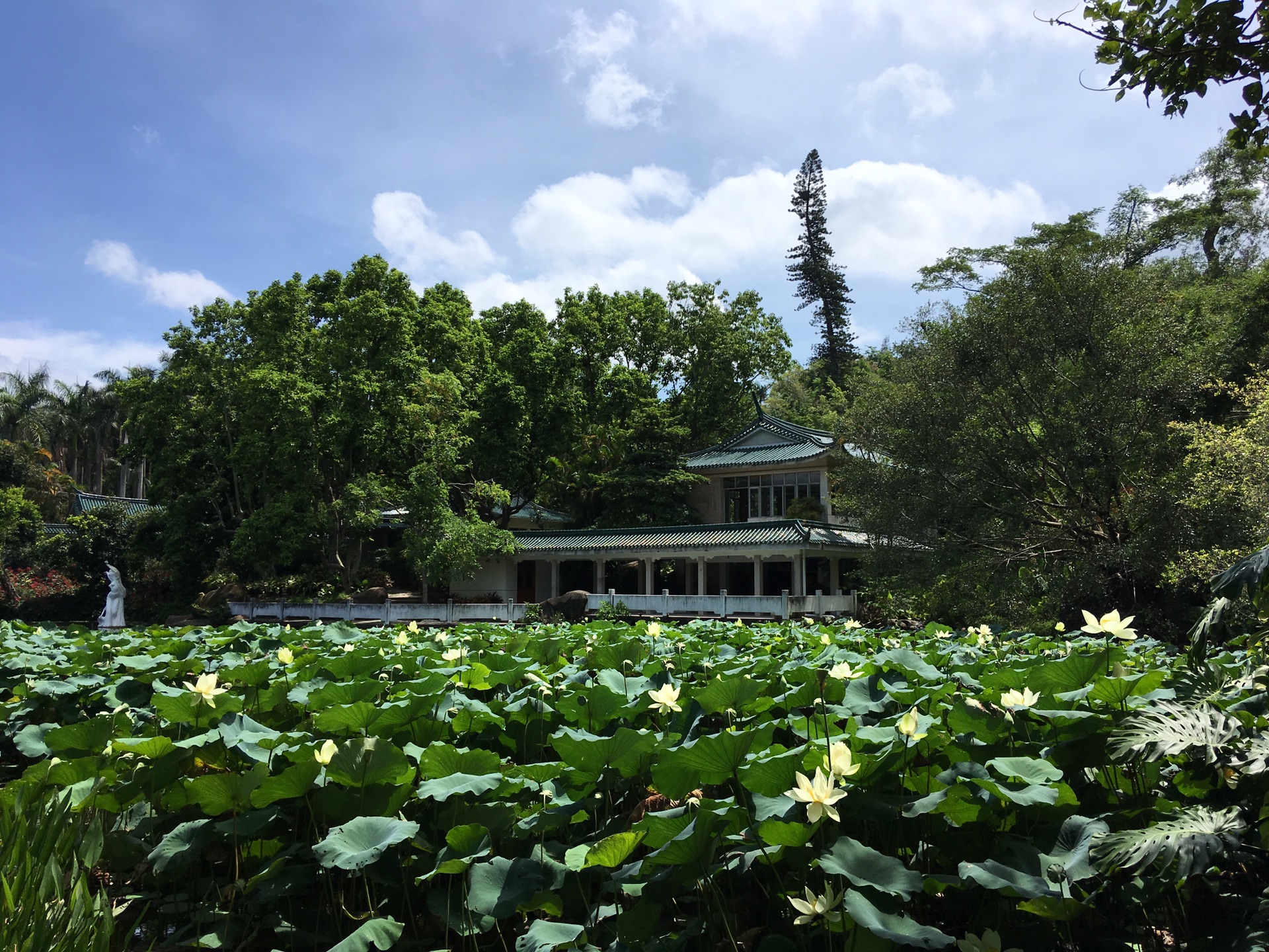 廈門園林植物園