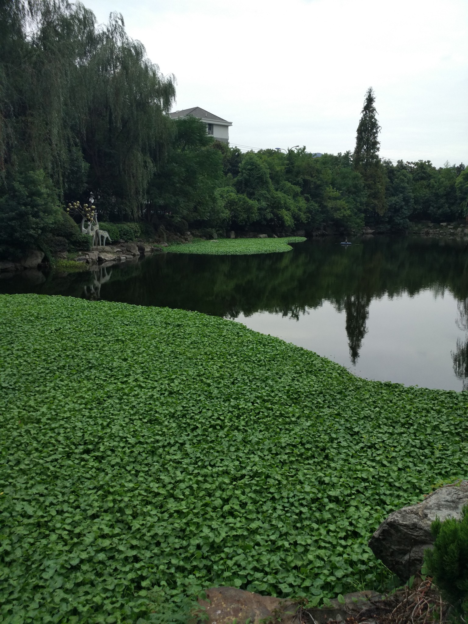 台州路橋中央山公園