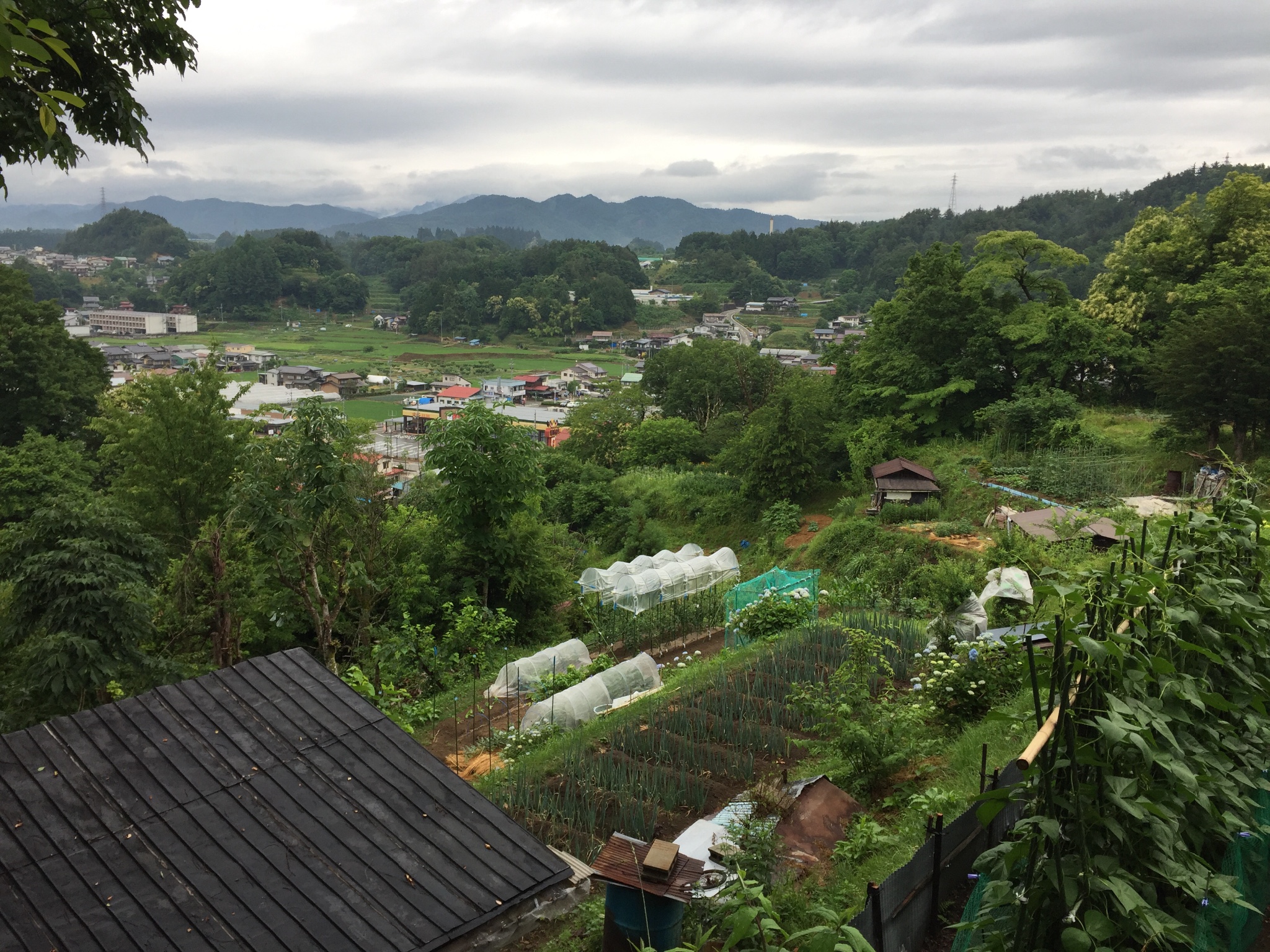 名古屋自助遊攻略