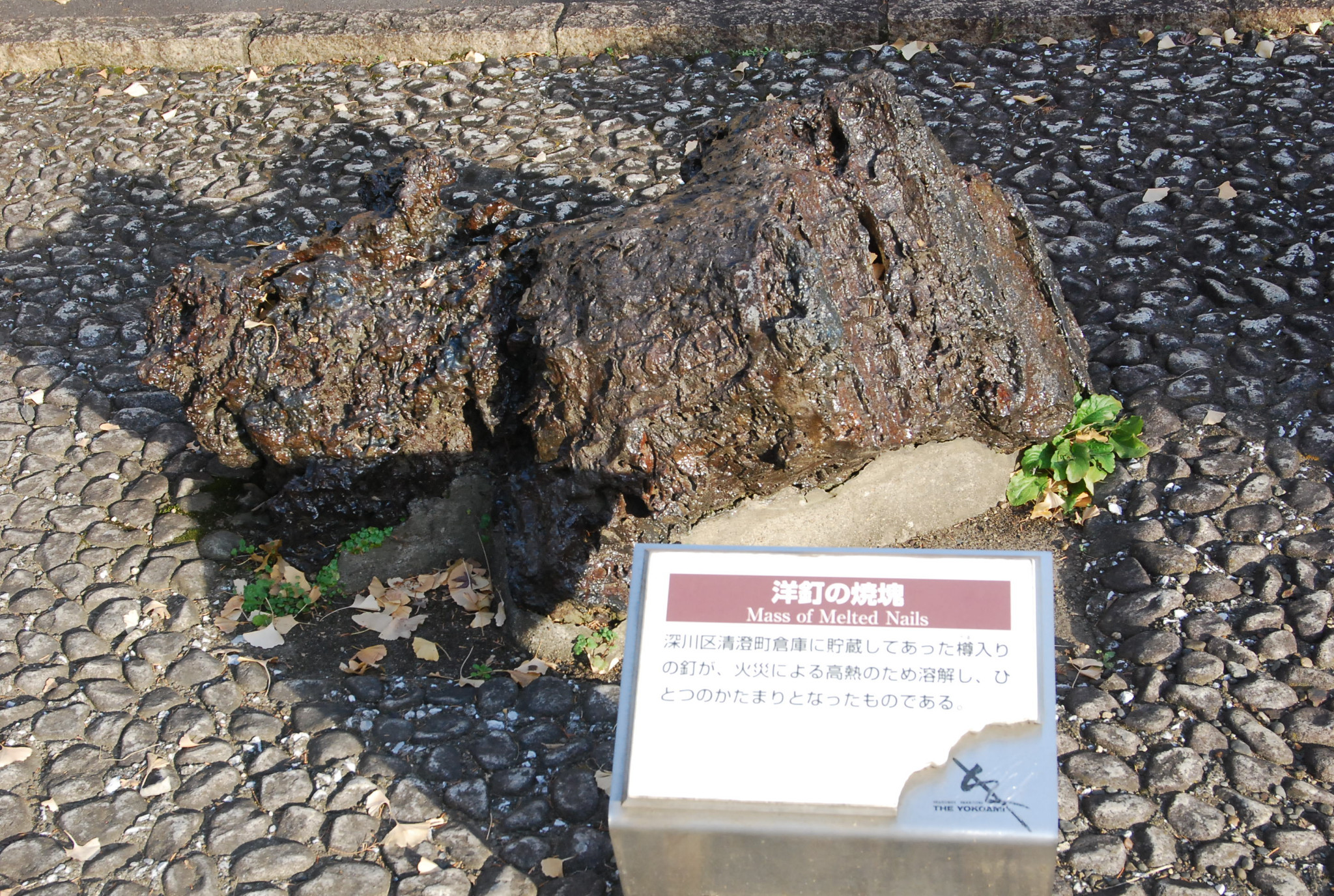 東京自助遊攻略