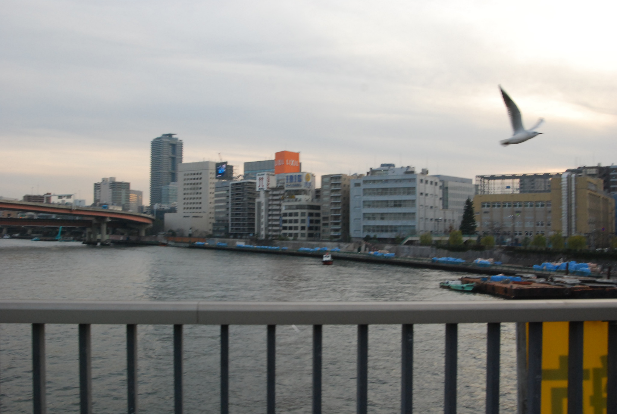 東京自助遊攻略