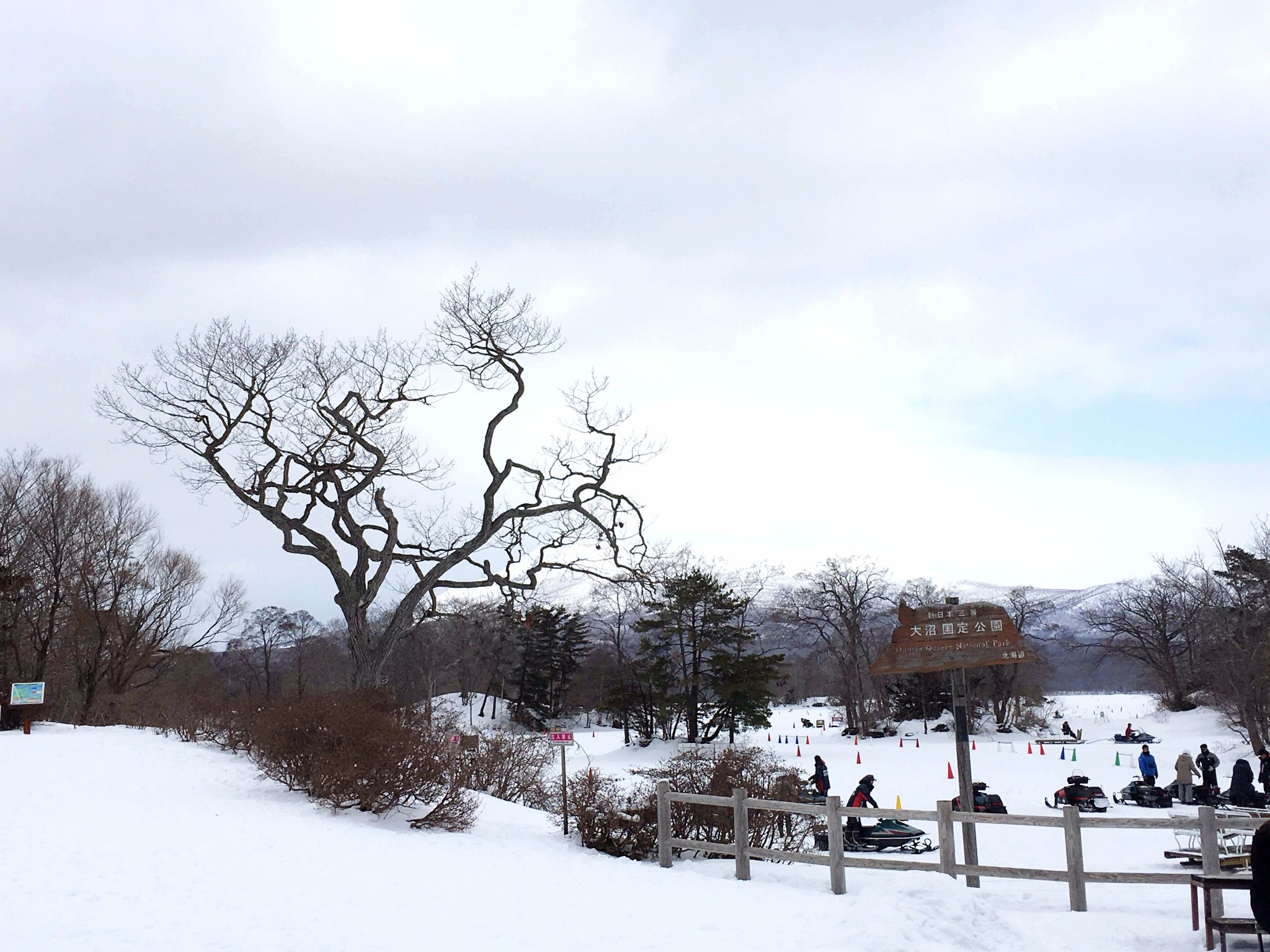 北海道自助遊攻略