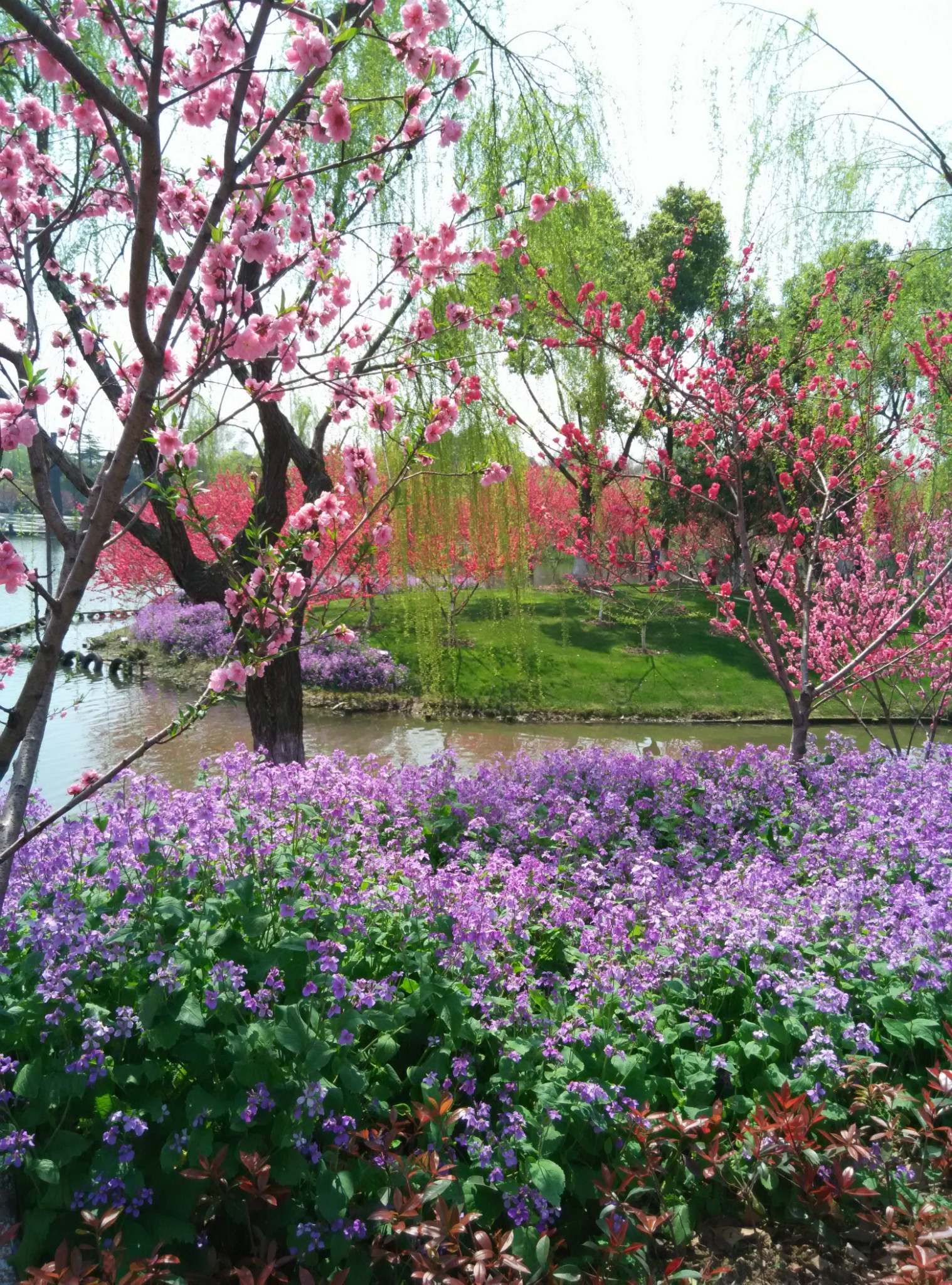 最美常州---尋找夢中的桃花源之圩墩公園,常州自助遊攻略 - 馬蜂窩