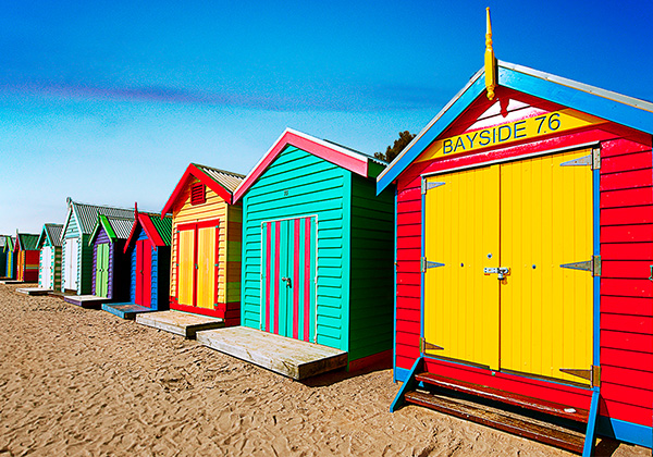 24人精品小团 墨尔本 企鹅岛 月光动物园 彩色木屋一日游(提供中文