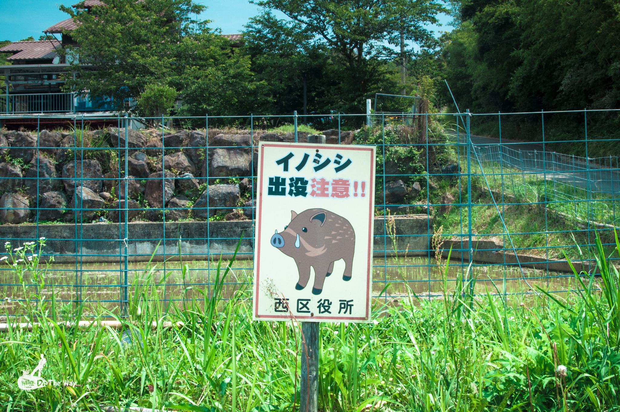 九州自助遊攻略