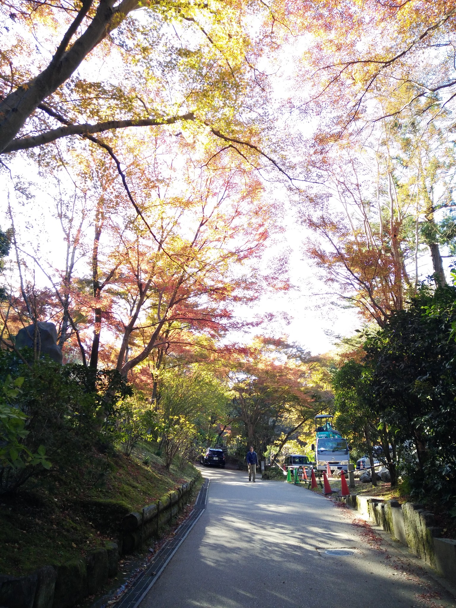 京都自助遊攻略