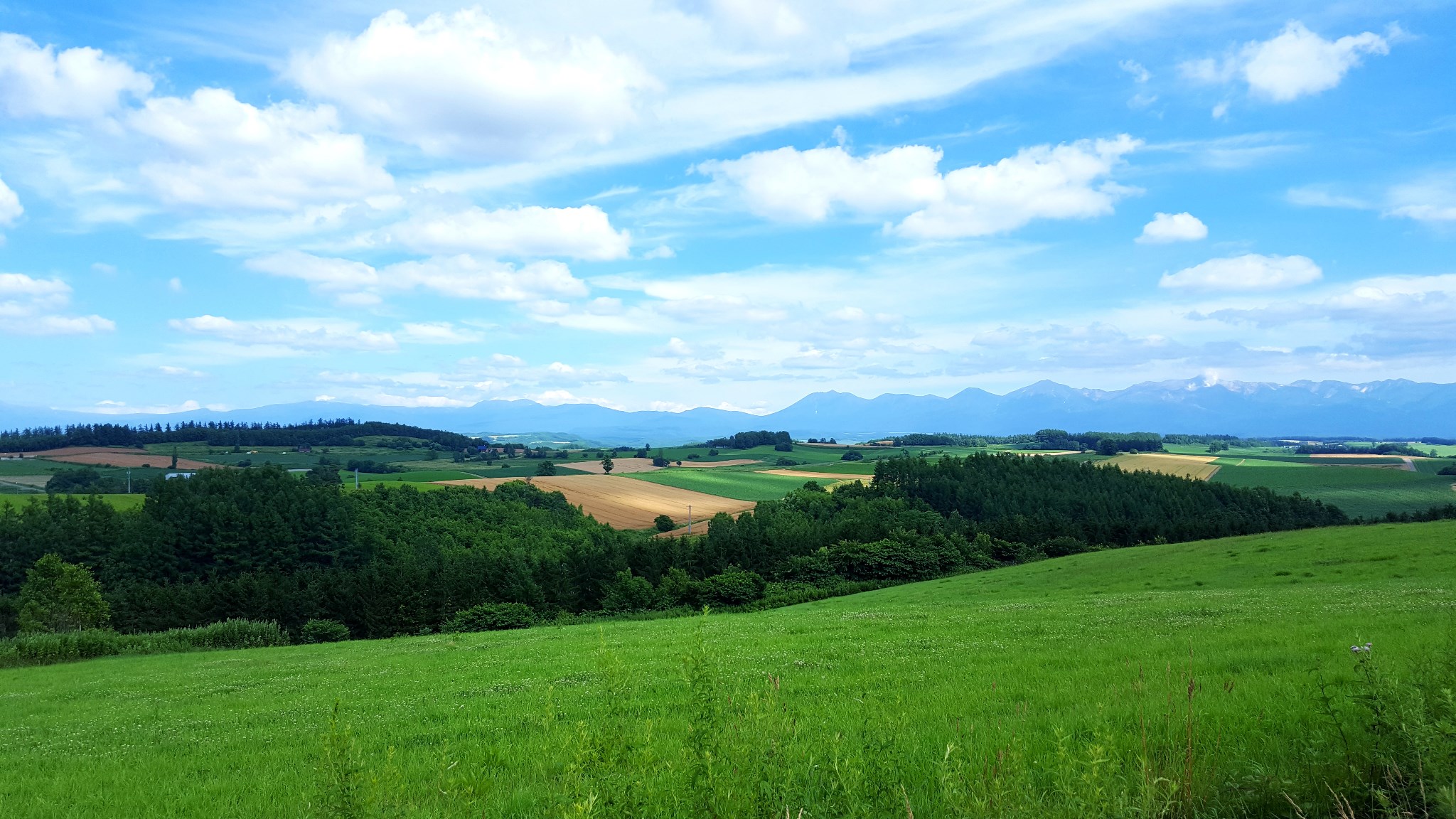 北海道自助遊攻略