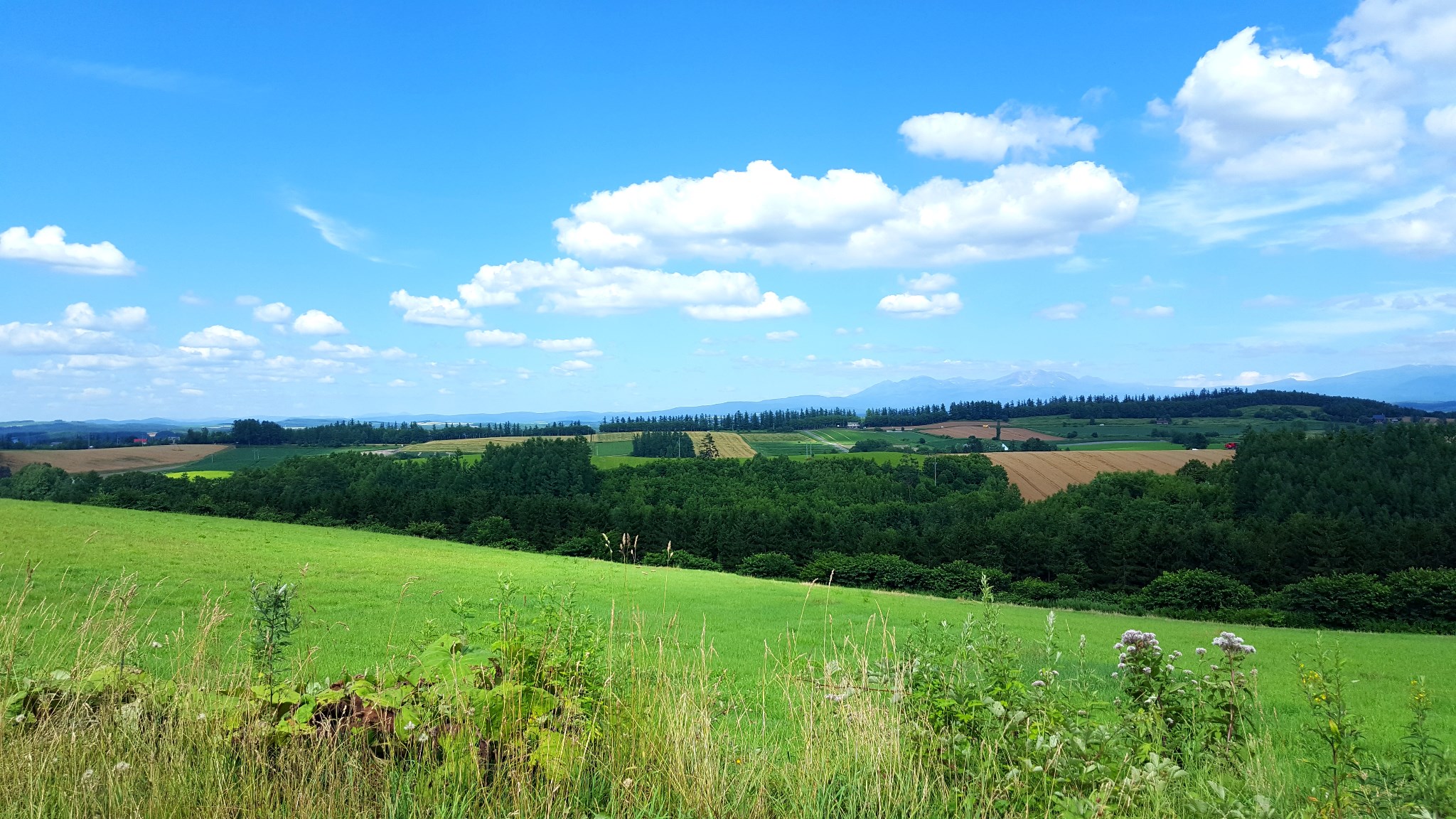 北海道自助遊攻略