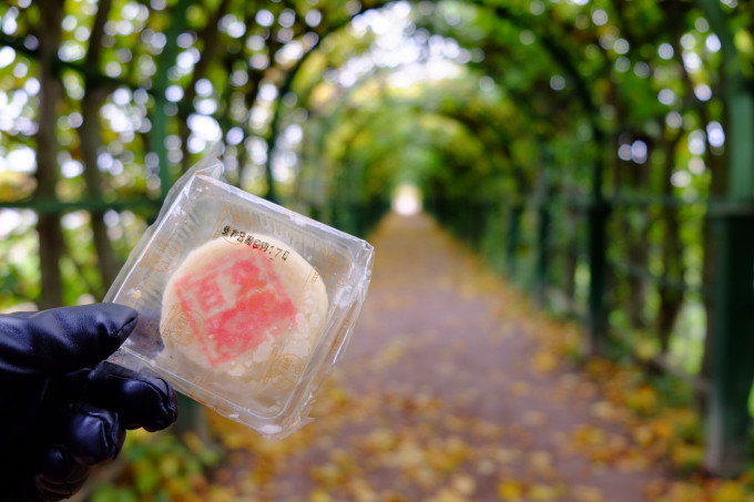 浅谈如何在俄罗斯快速学习俄语