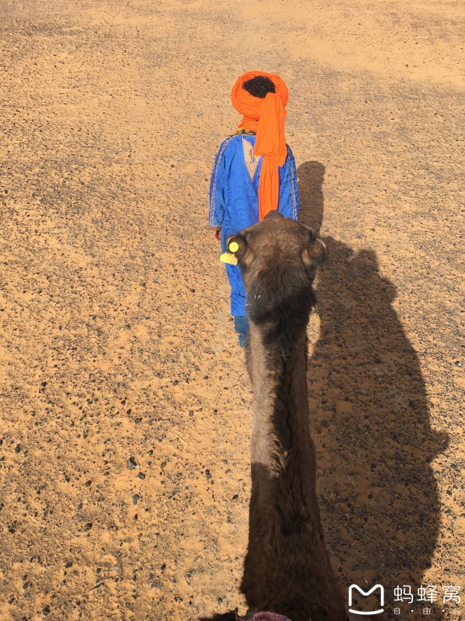 一个法国留学生的年记(20)摩洛哥--撒哈拉--平