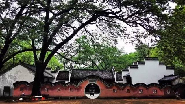 南京公交西祠(南京公交 西祠)