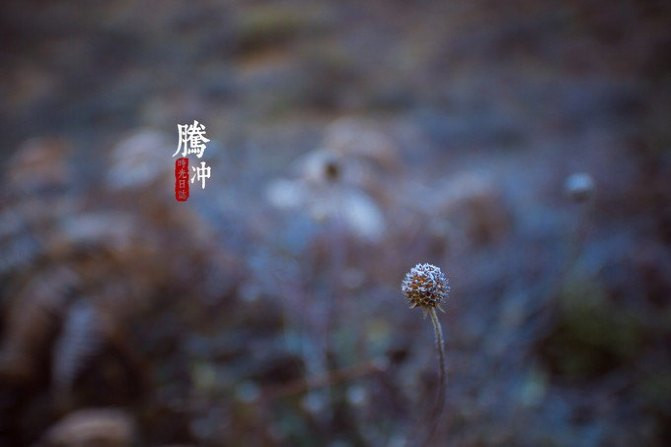 雲南自助遊攻略