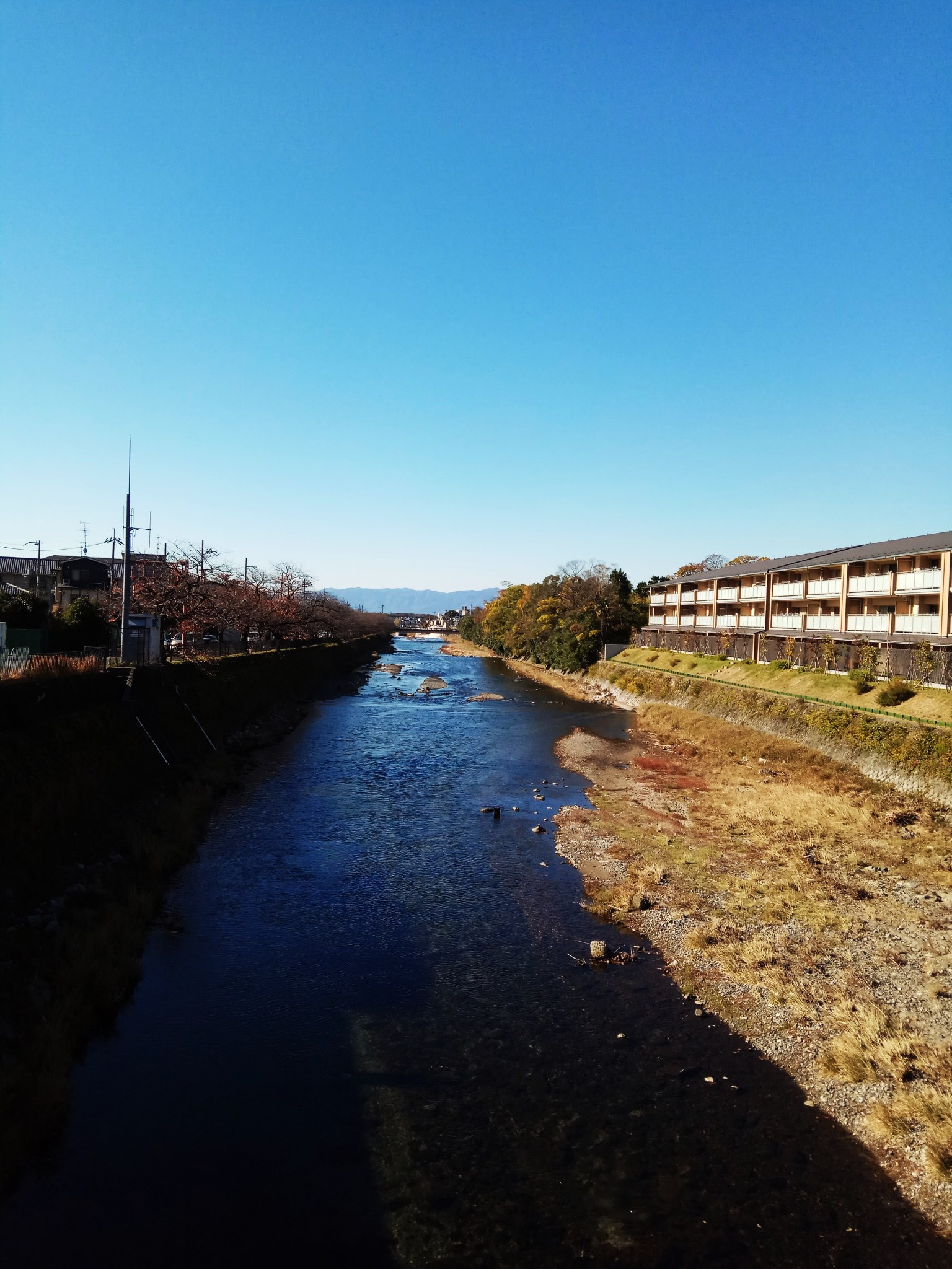 京都自助遊攻略