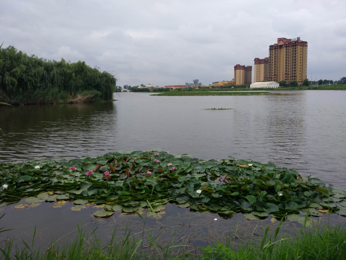 徒步昆明杨林嘉丽泽湿地