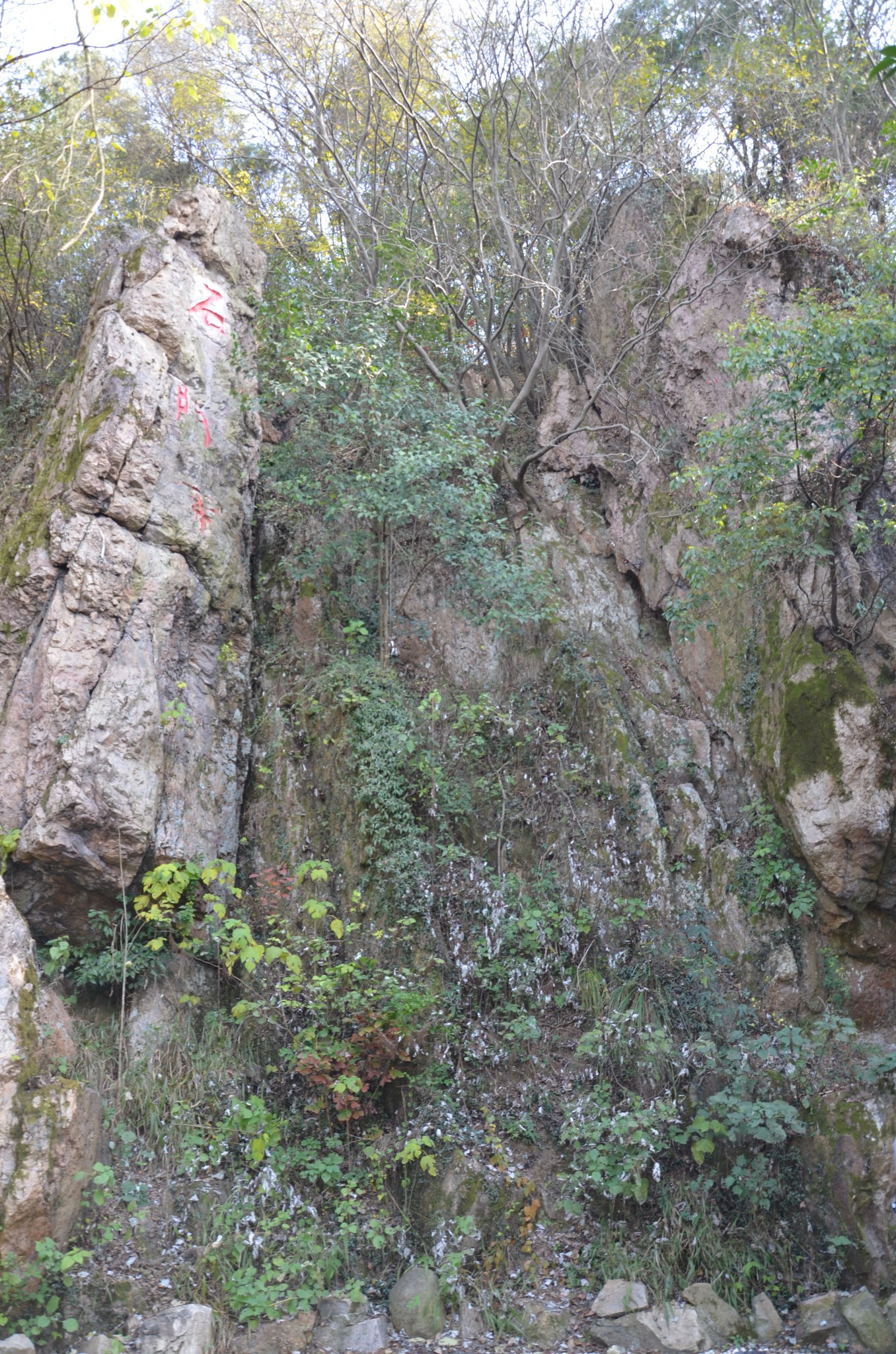 在西山古靈泉寺附近,海拔160多米,古稱樊山,是當年孫權講武修文,宴飲