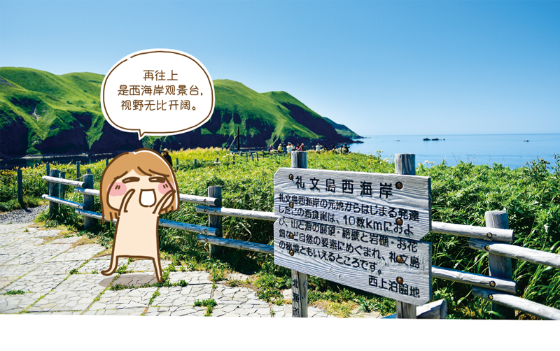 北海道自助遊攻略