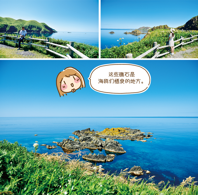 北海道自助遊攻略