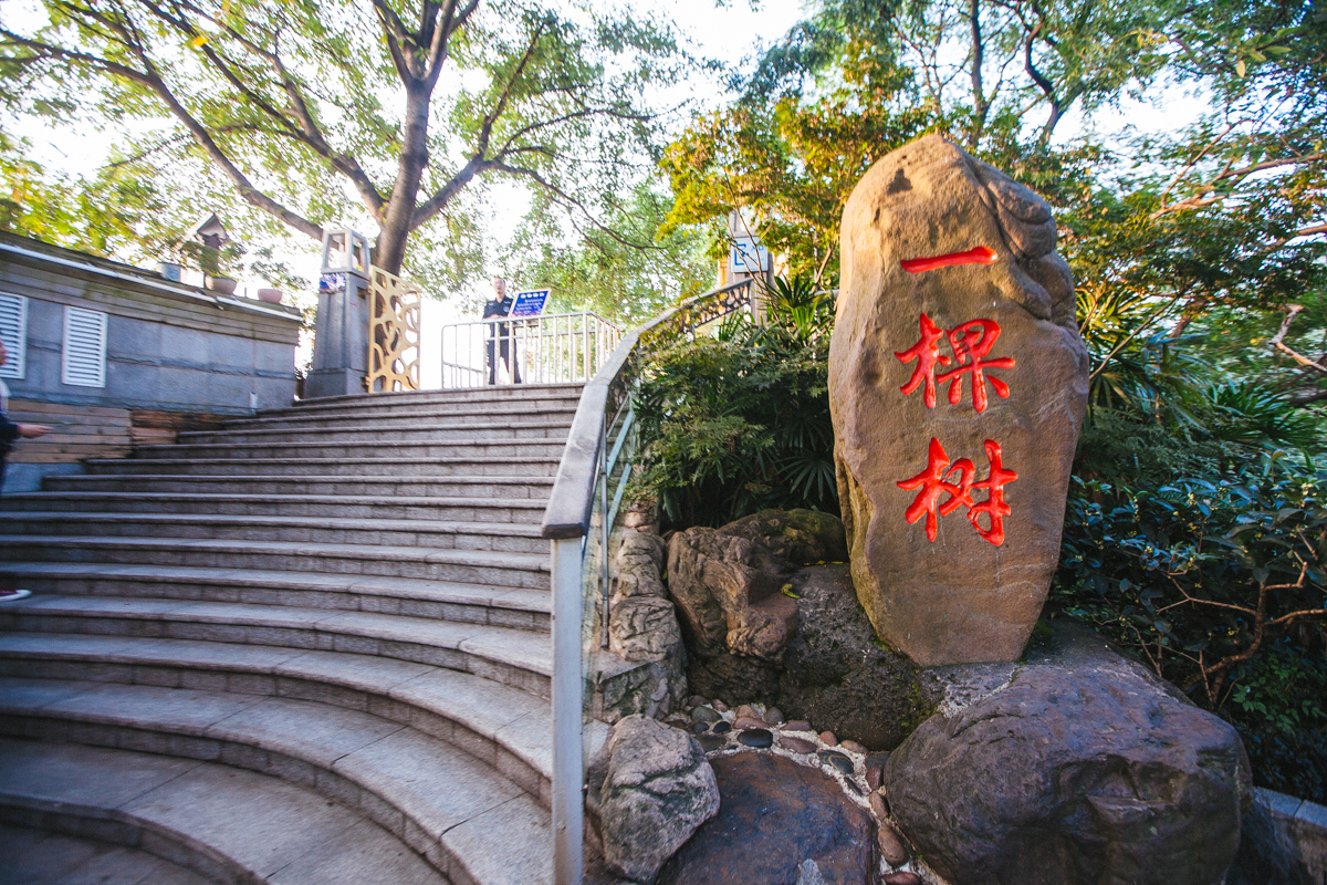 ChongQing Nanshan One Tree Scenic Spot