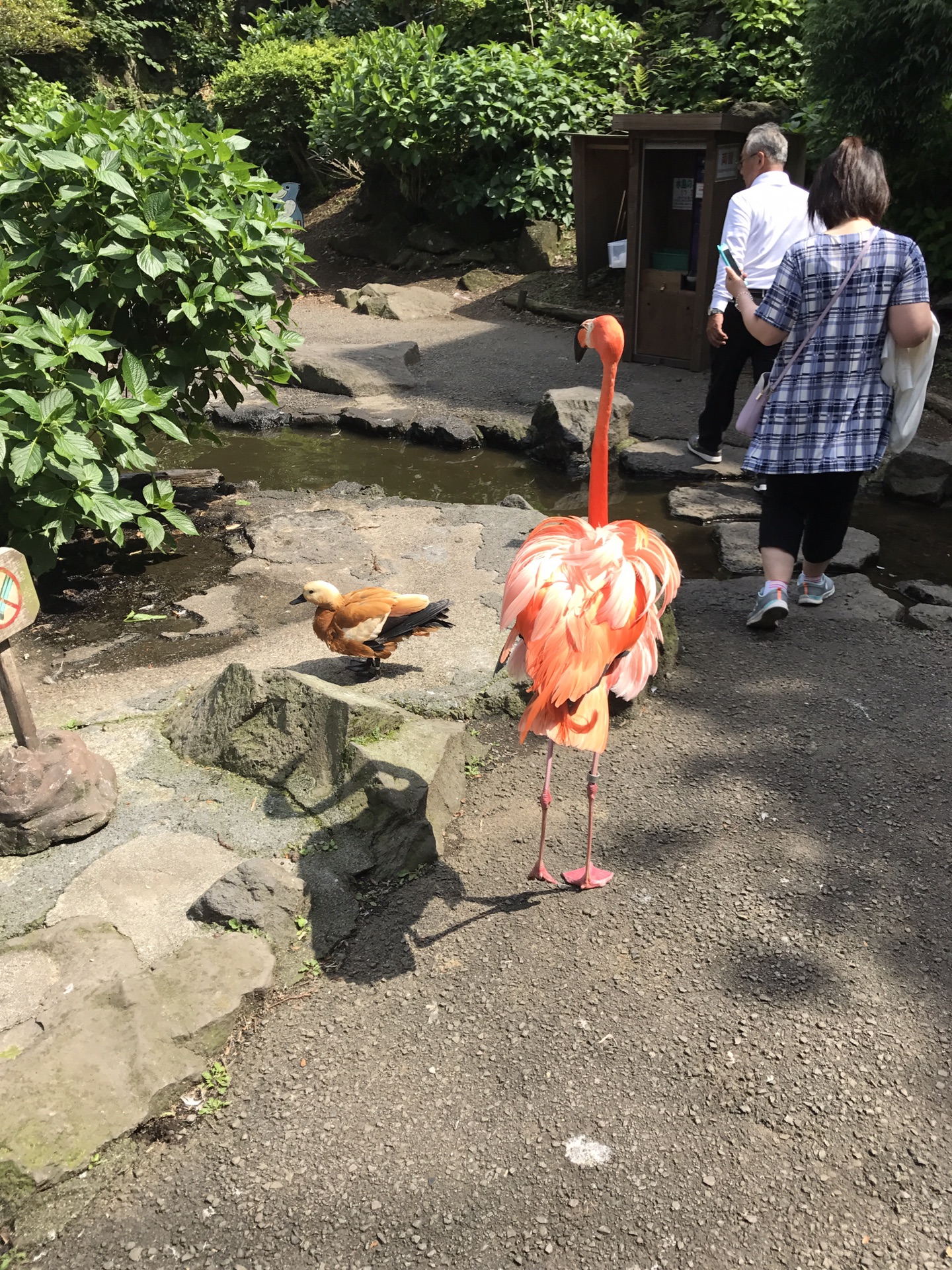 東京自助遊攻略