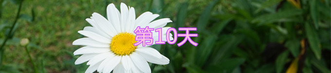 10 10