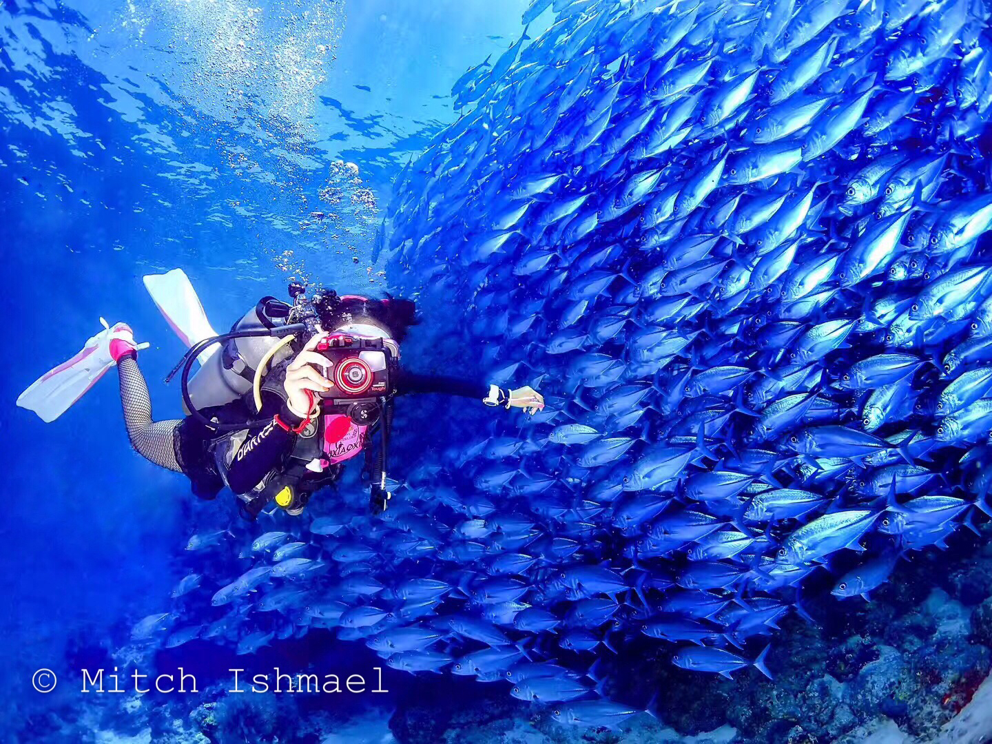 人生若无深潜……终究苍白——诗巴丹潜水员心.