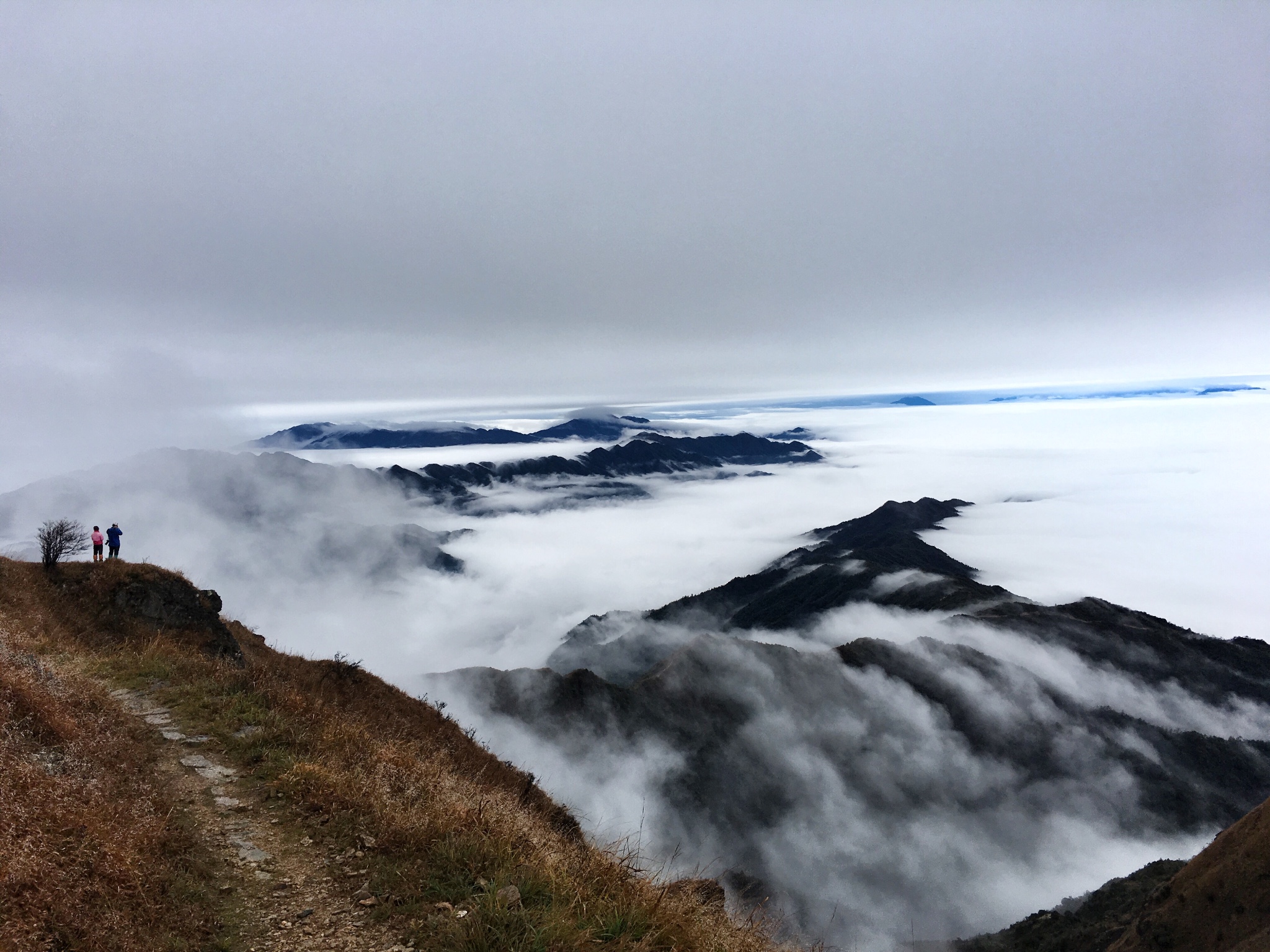 八面山|是山可愛還是你,湖南自助遊攻略 - 馬蜂窩