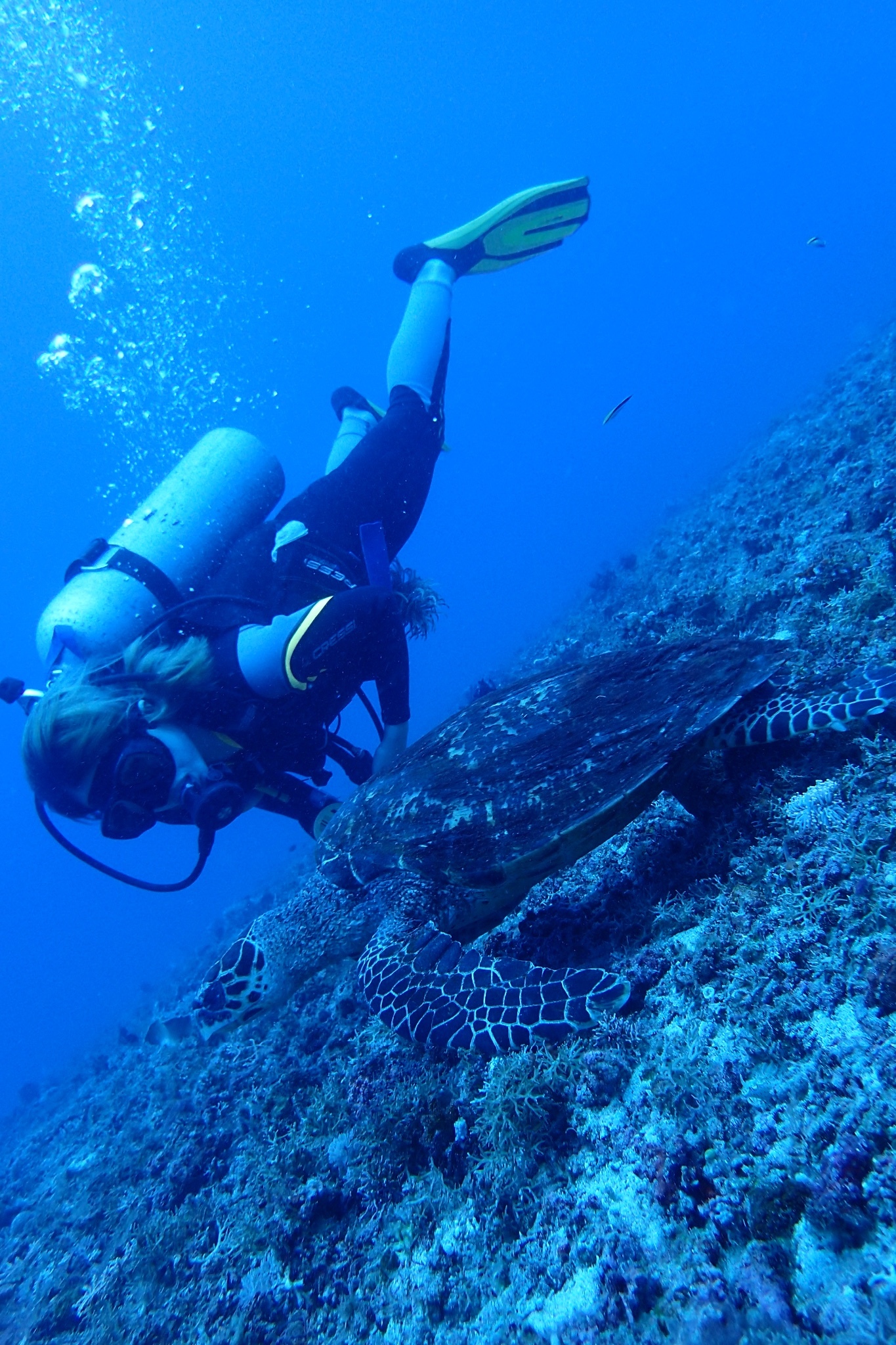 怡妞带你换个角度游长滩~内附【美食,潜水】攻略~,长滩岛旅游攻略