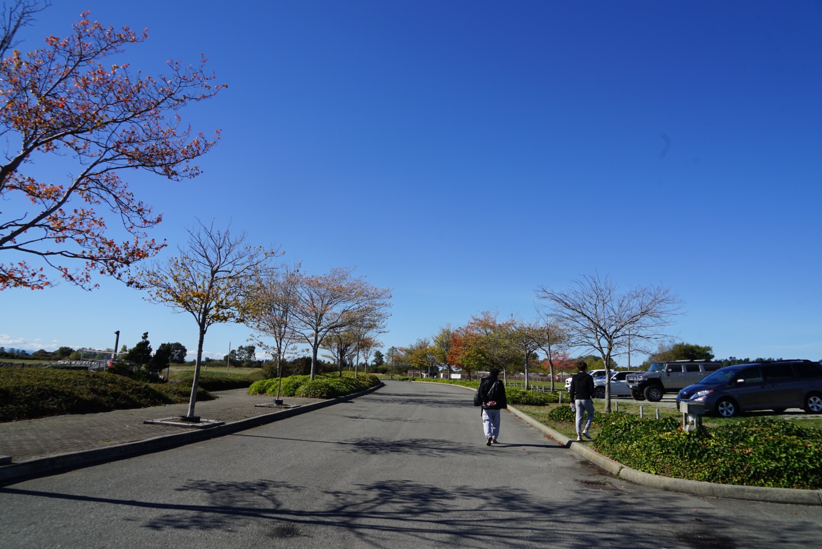 秋日徒步之美国罗伯茨角镇