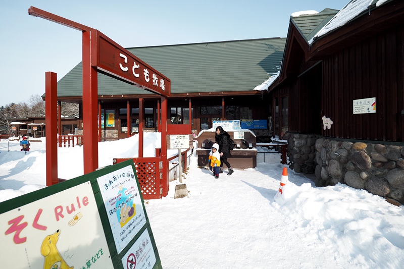 北海道自助遊攻略