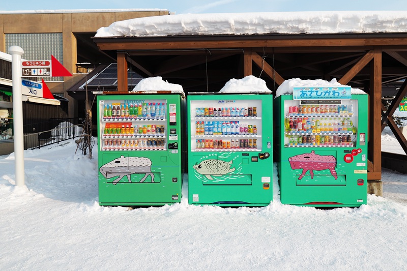 北海道自助遊攻略