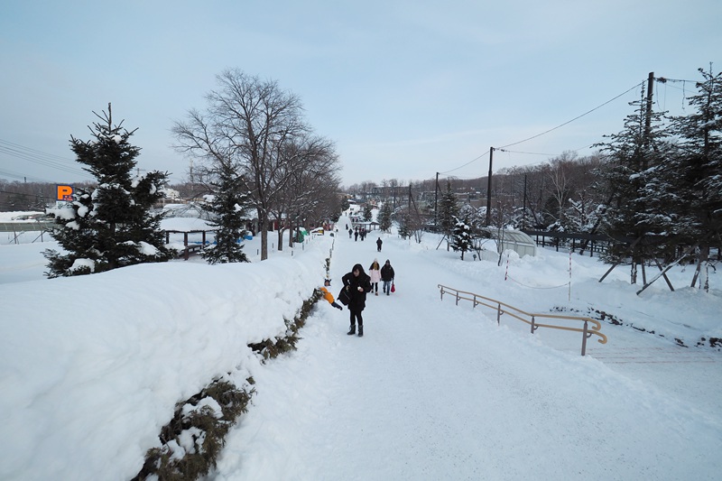 北海道自助遊攻略